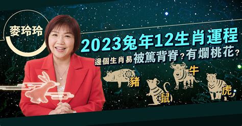 麥玲玲 2023|麥玲玲2023風水佈局｜正東方病位須化解！如個催旺 